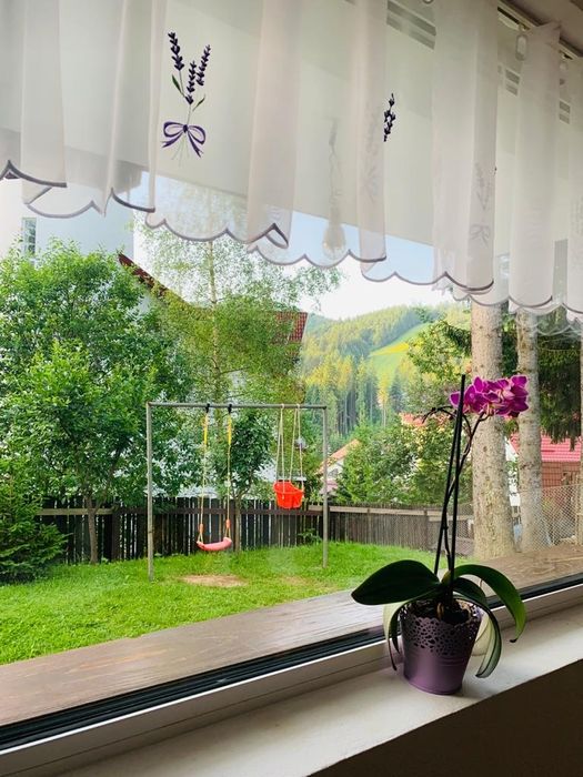 Cazare Predeal apartament la casa cu curte