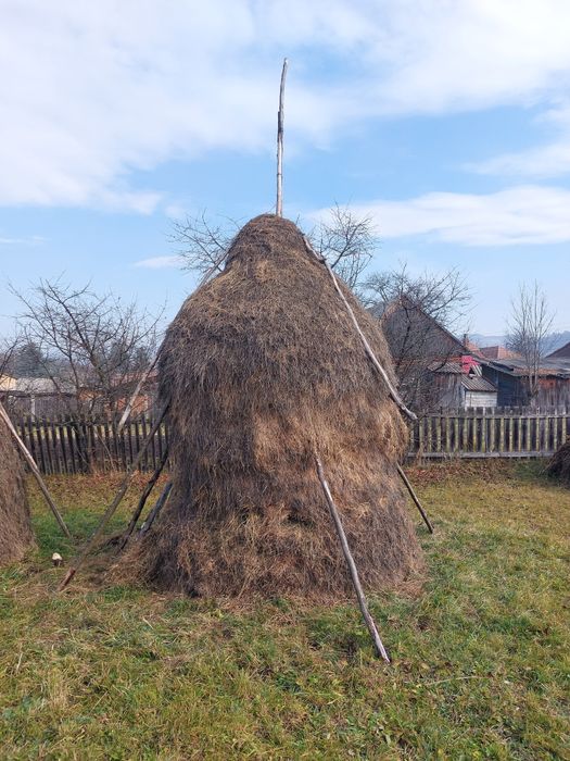 Fân și otavă de vânzare