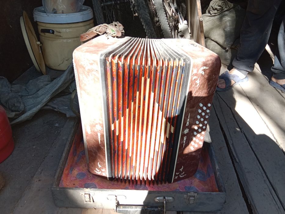 Продам"Боян" в хорошем состоянии.