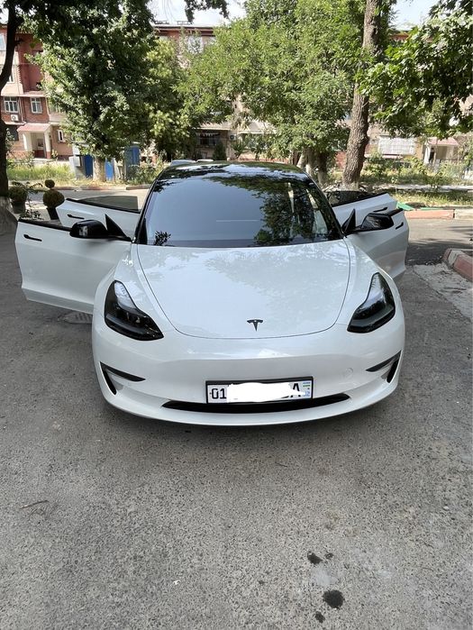 Tesla model 3 dual motrs long renge 2021