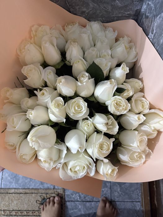 51 белые Роза 80