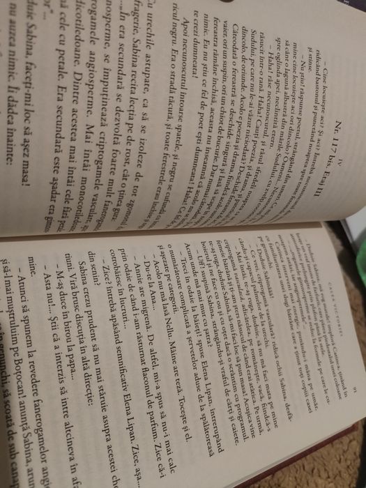 Calea Victoriei Cezar Petrescu