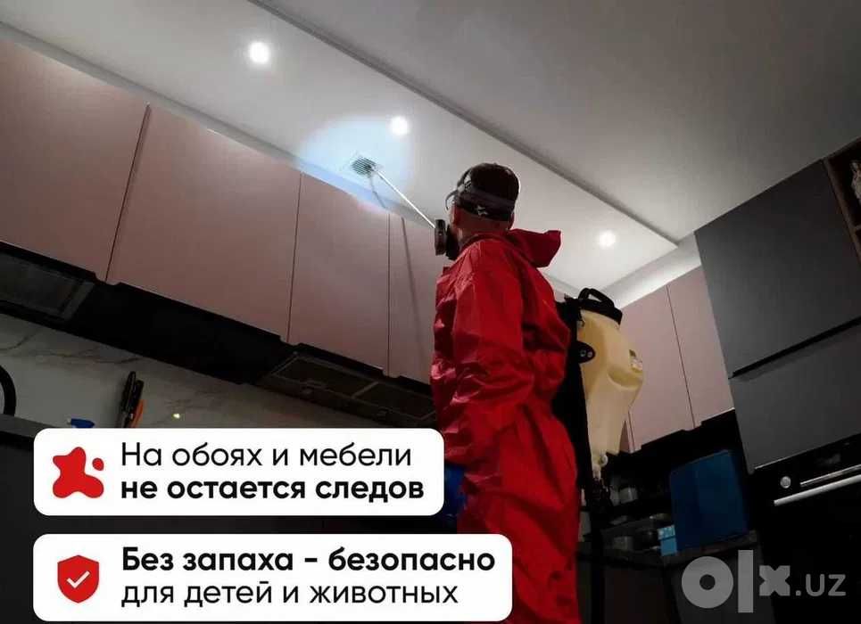 Дезинфекция от клопов уничтожение клопов дезинфекция dezinfeksiya