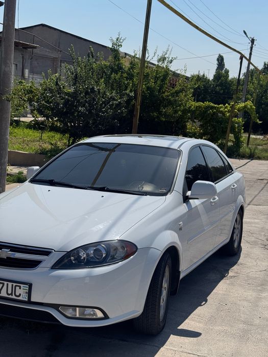 Oq jentra ideal holatda