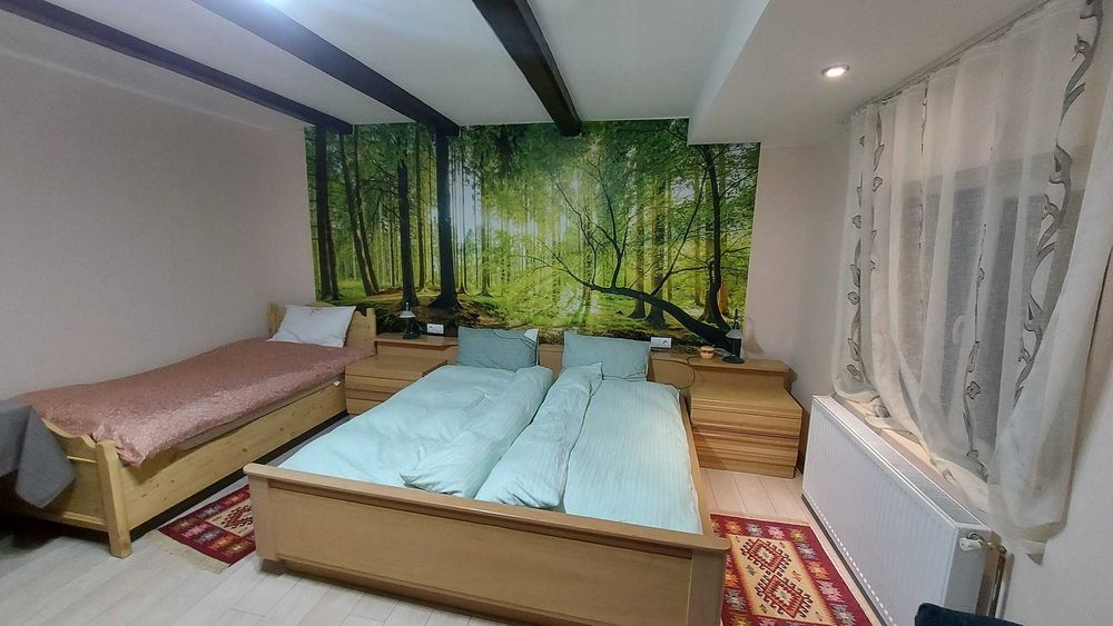 Cabana Ciupercuta / Blidari-Maramures/Cabana cu ciubar