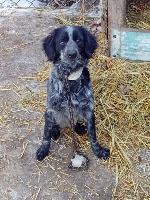 Продаётся стол .