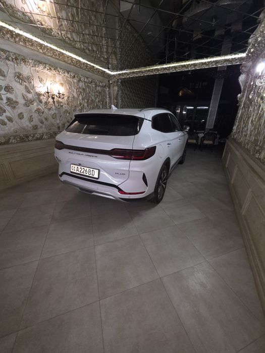 BYD  чемпион  2024  йил
