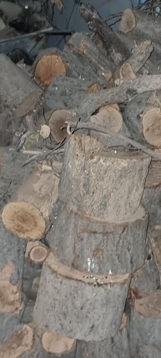 утин сотилад копланган