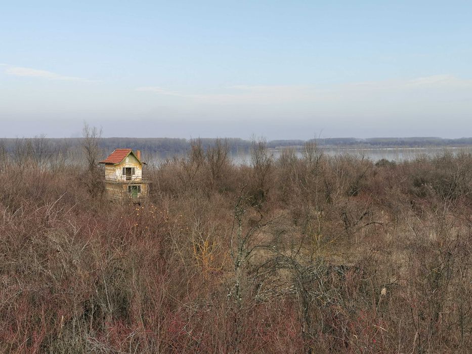 Продава се Земеделски имот в Лом -  кв.м за 2805 €/дка - Снимка #23