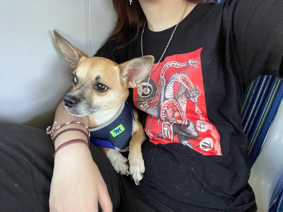 Разходки и грижи за кучета