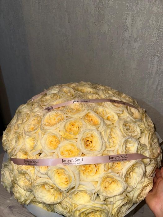 роза голландская 101