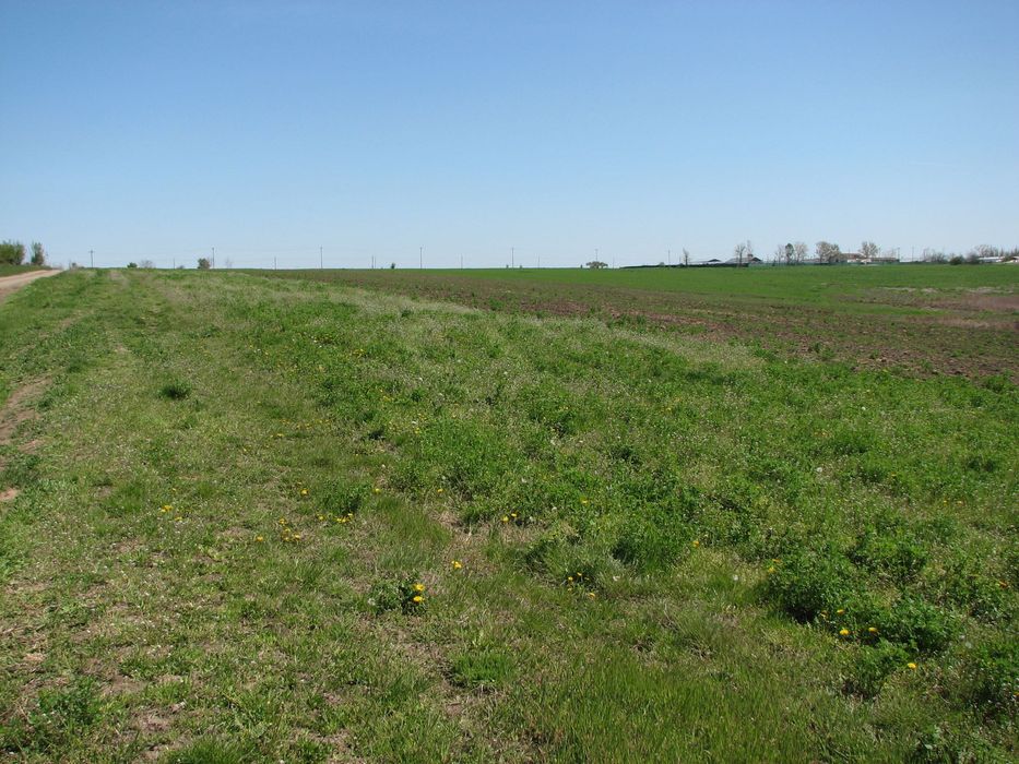 Teren 35.900 mp cu 5 €/mp – Petrăchioaia, Ilfov – Preț Excelent!