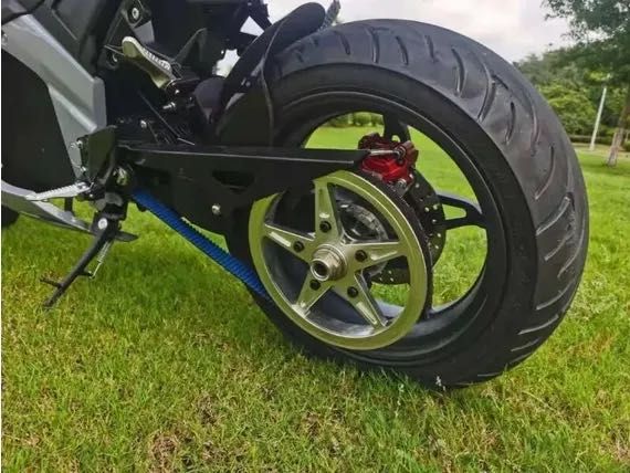 Electron Panigale PRO