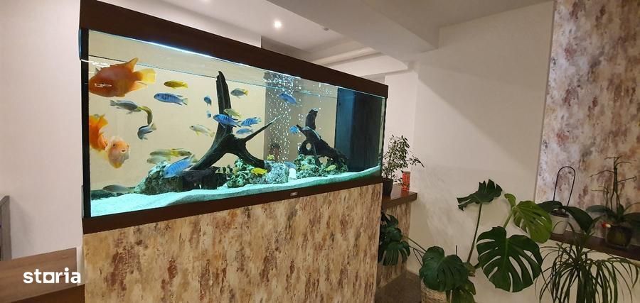Apartament Baneasa/ Petrom City