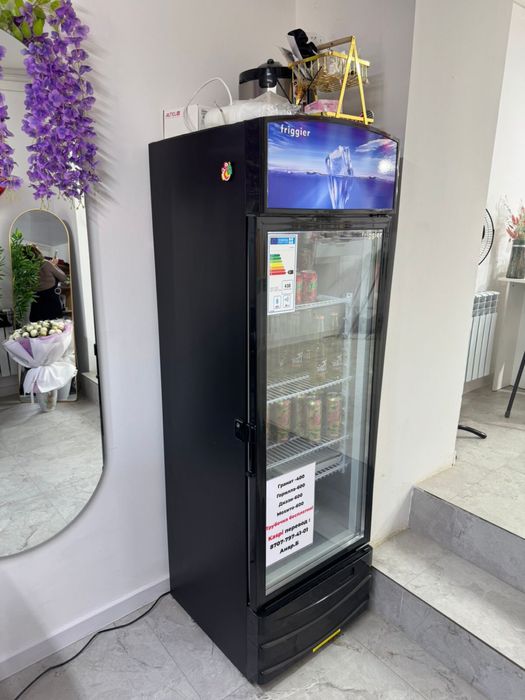 Холодильник frigger