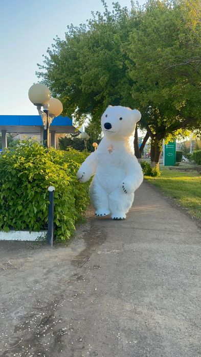 Аниматоры, поздравления, мишка умка