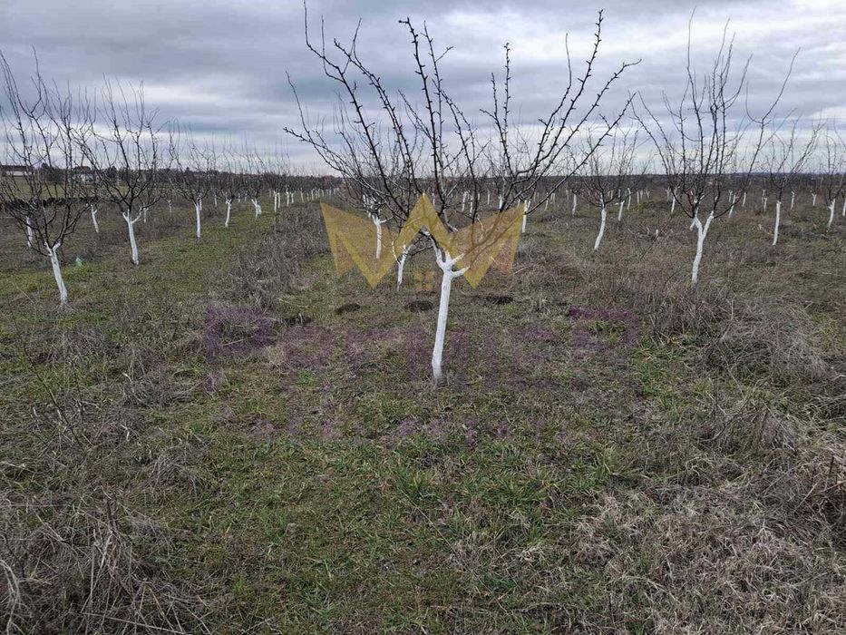 Парцел в Варна, област-м-т Добрева Чешма площ 6000 цена 95000