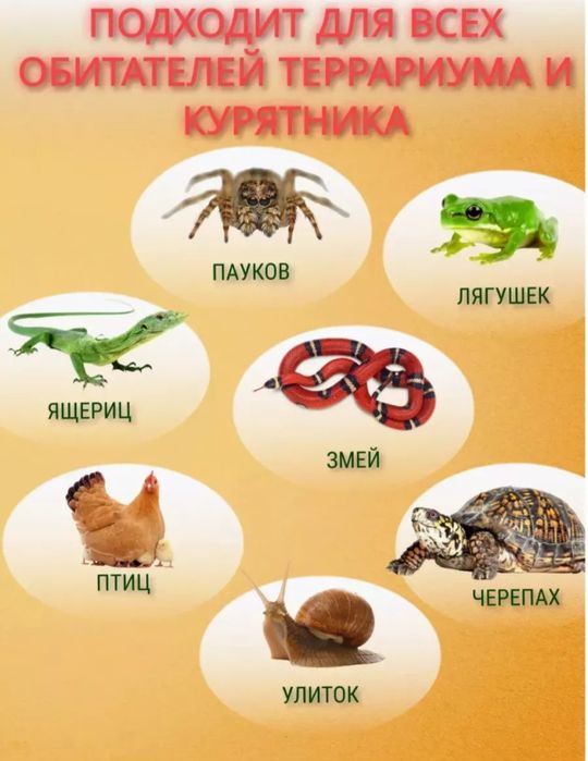 Лампа инфракрасная для всех животных