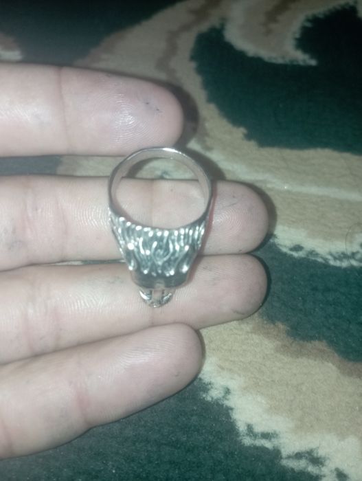 Uzur Wolf    Tozza Kumush