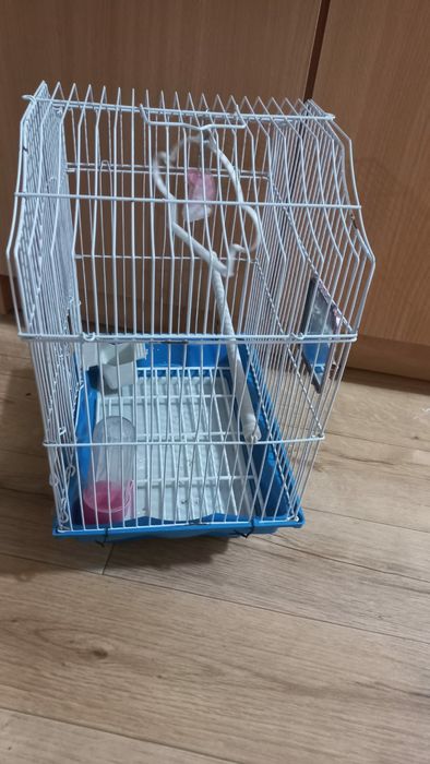Продам Клетку Для Маленьких Животных