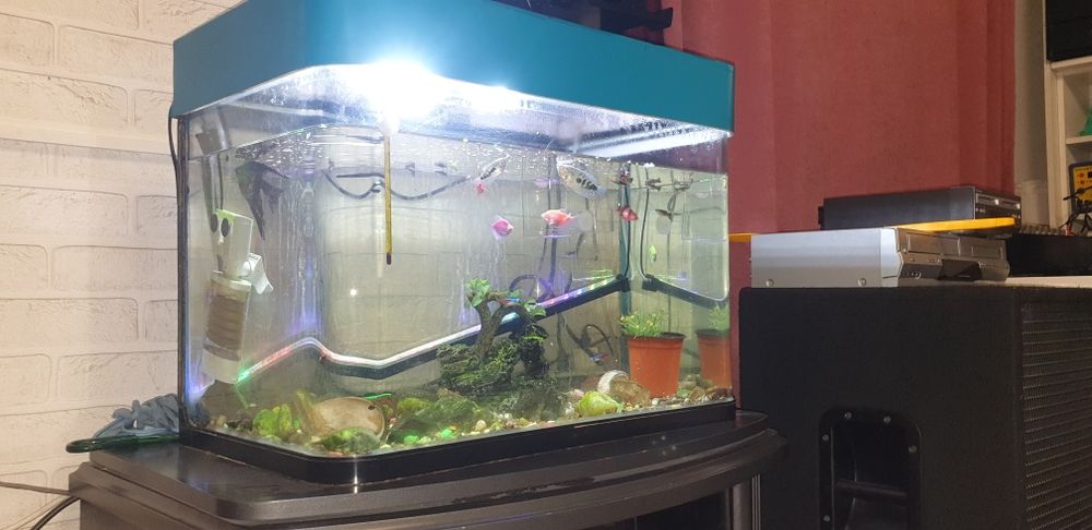 Аквариум продам хороший