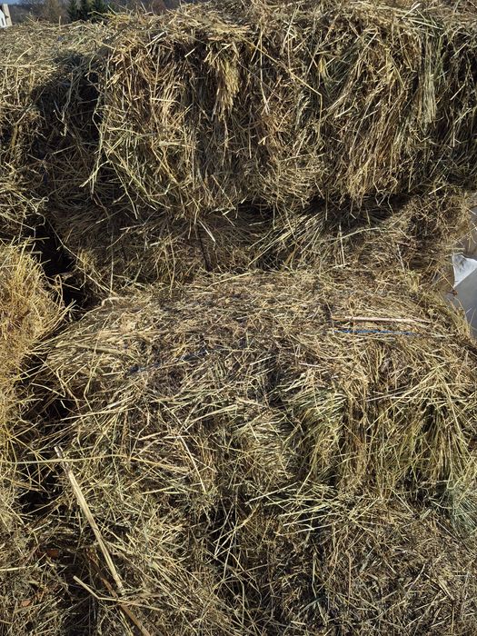 Vand baloti prima coasa amestec cu lucerna