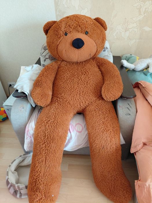 Медведь большой.