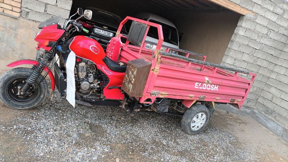 Муравей юк ташиш учун