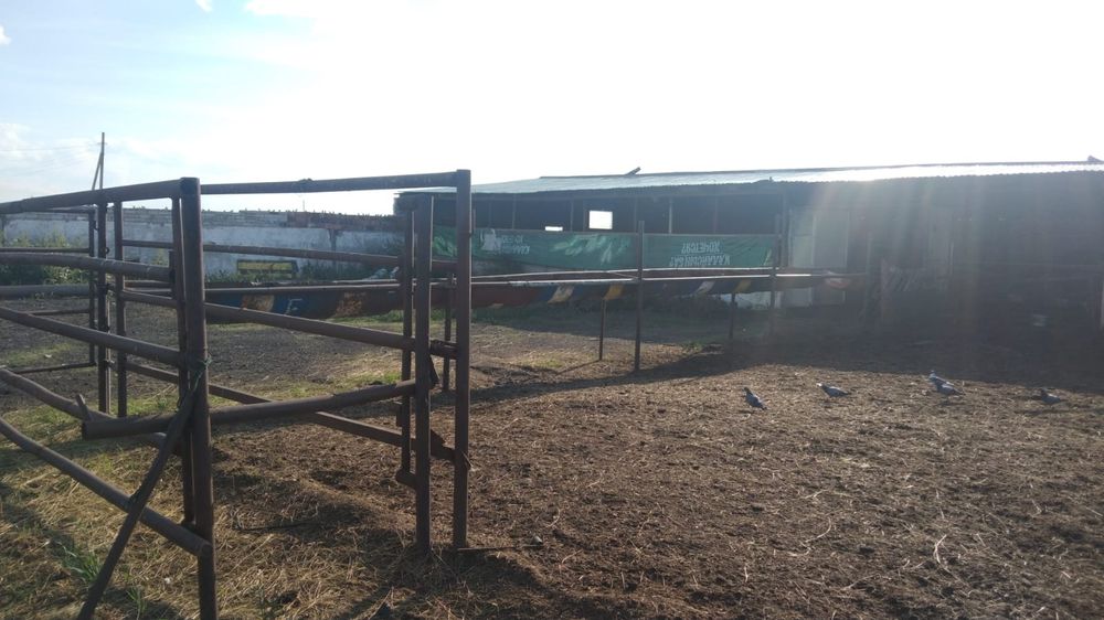 Продам базу  для сельхоз хозяйства