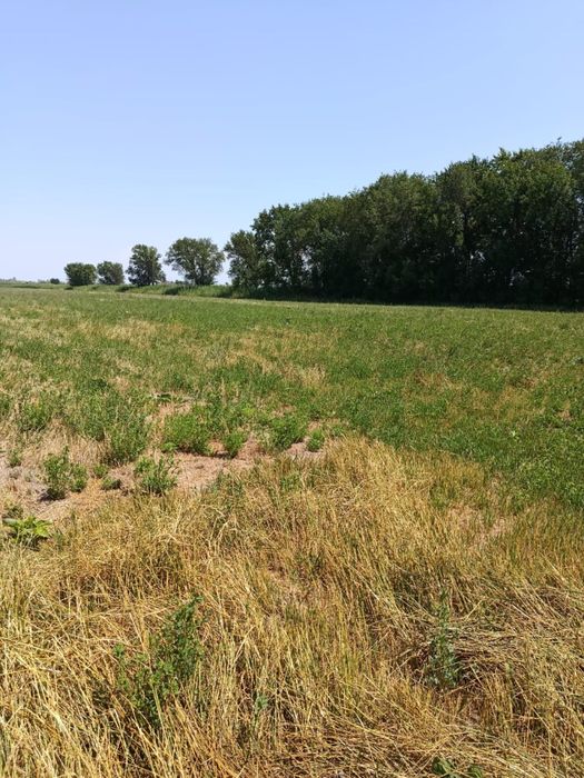 Земельный участок