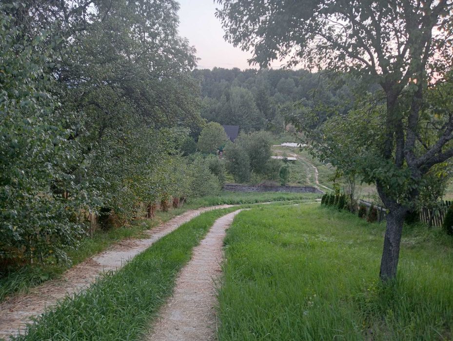 vand parcela 1000 mp in sat Brebu Nou , langa Garana