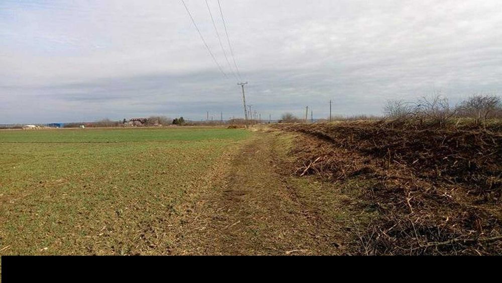Teren agricol extravilan de vânzare – Borș / Sîntion, județul Bihor