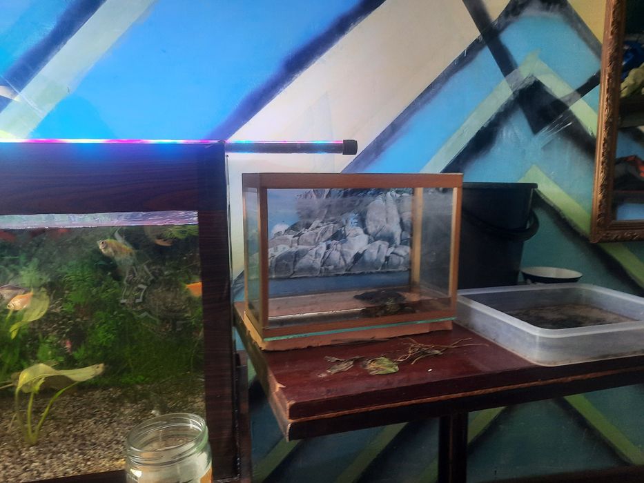 продаются аквариумы с рыбками