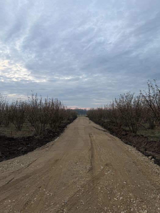 Parcele de vanzare Pausa