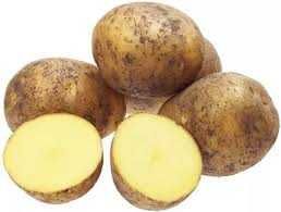 Картофель сорт гала