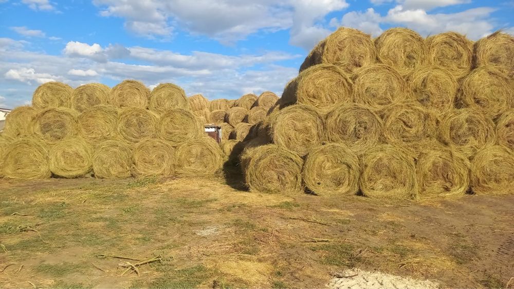 Сено на продажу