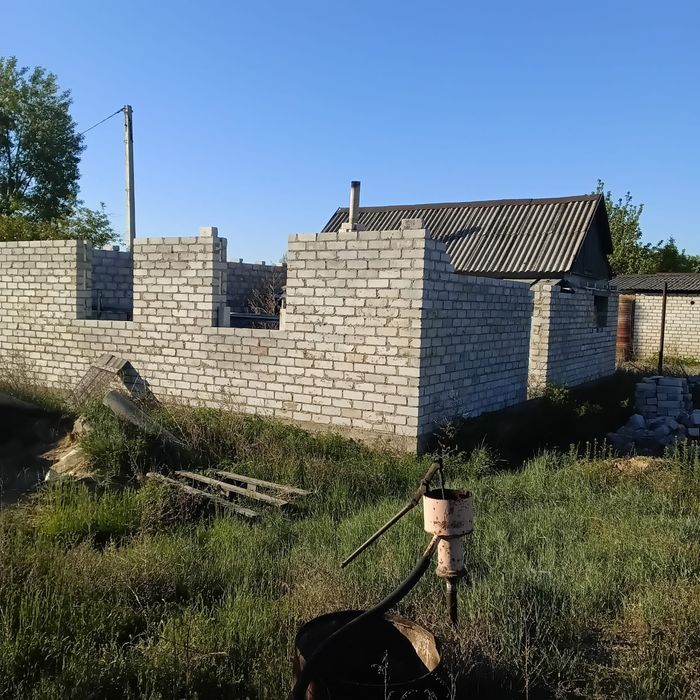 Дрм  Восточный  зимний вариант