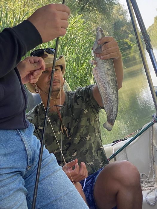 Inchiriere barci, excursii si transport pescari in Delta Dunarii,Dunavatu de Jos