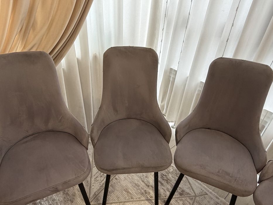 Продам стол и 8 стульев