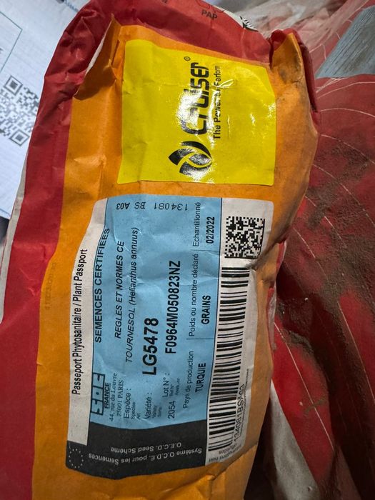 Семена подсолнечника