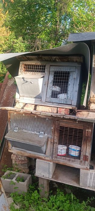 Продам клетки для кролов