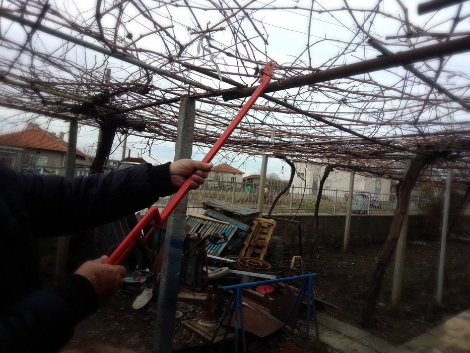 Удължена лозарска ножица и щипка