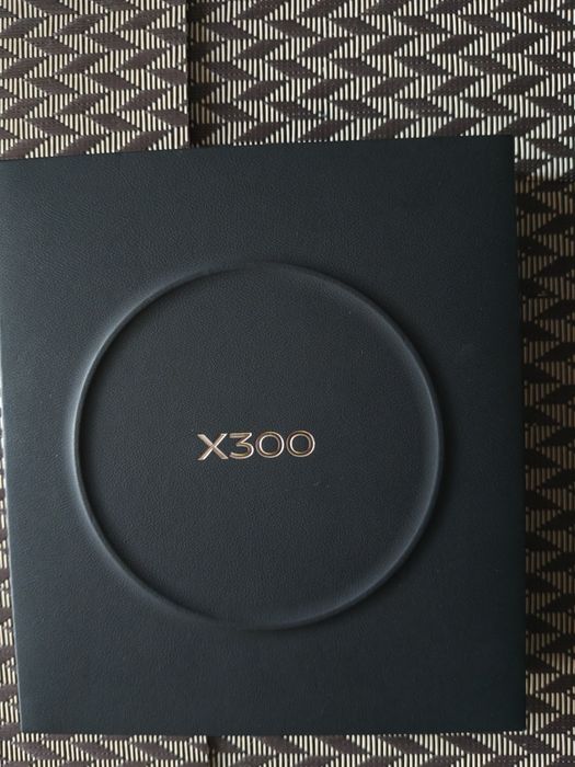 Vivo x300 16/512