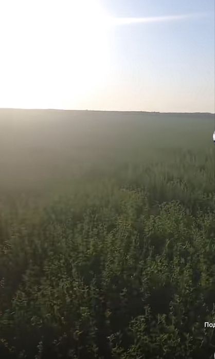 жонышка сатылады
