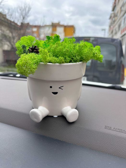 Декоративна саксия с естествен скандинавски мъх