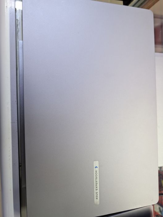 Asus Expertbook P1