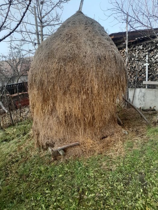 Fin de grădină de vânzare