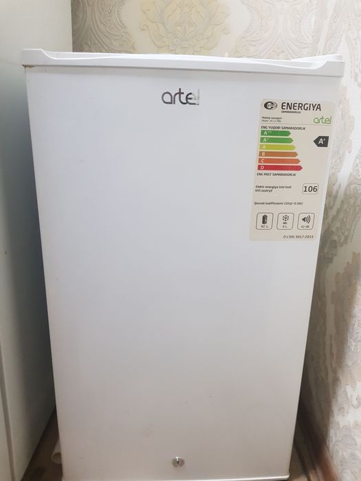 Muzlatgich yangi mini