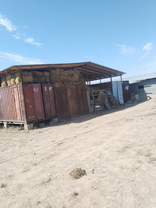 Продам дом вместе с фазендой
