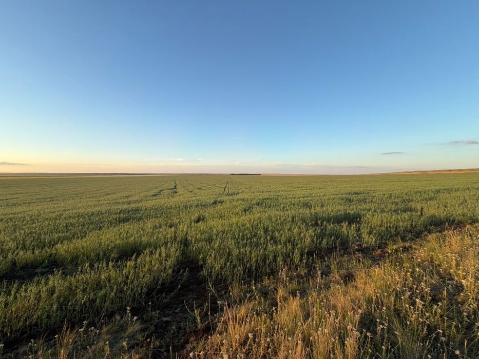 Земля 5.300 гектар